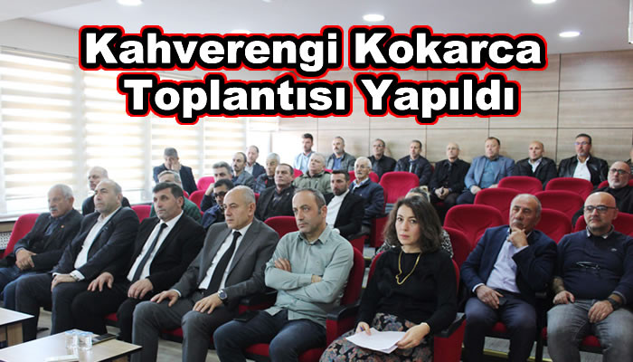 Kahverengi Kokarca Toplantısı Yapıldı